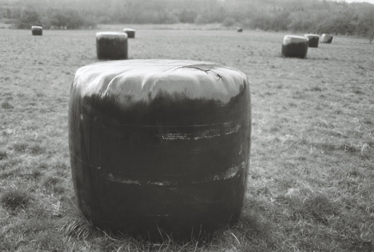 « Le carbone, c’est mal&nbsp;»