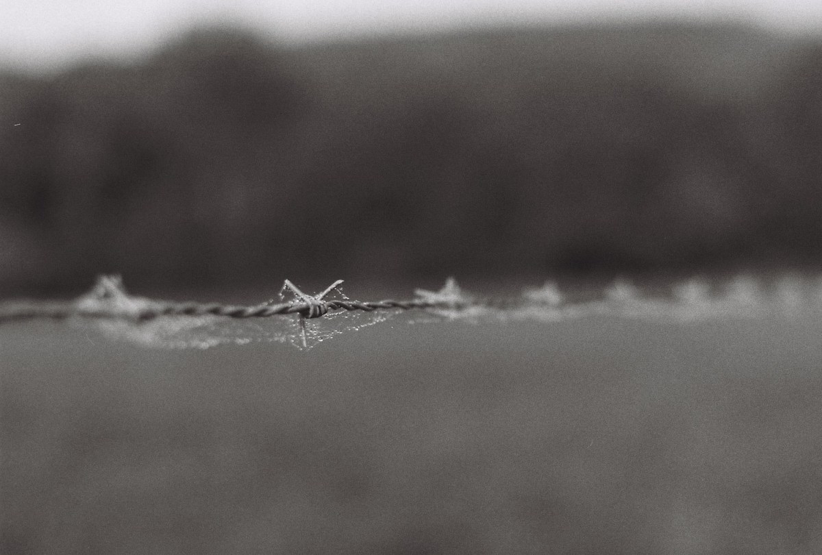 Symbiosphère dans &laquo;&nbsp;La pensée écologique&nbsp;&raquo;