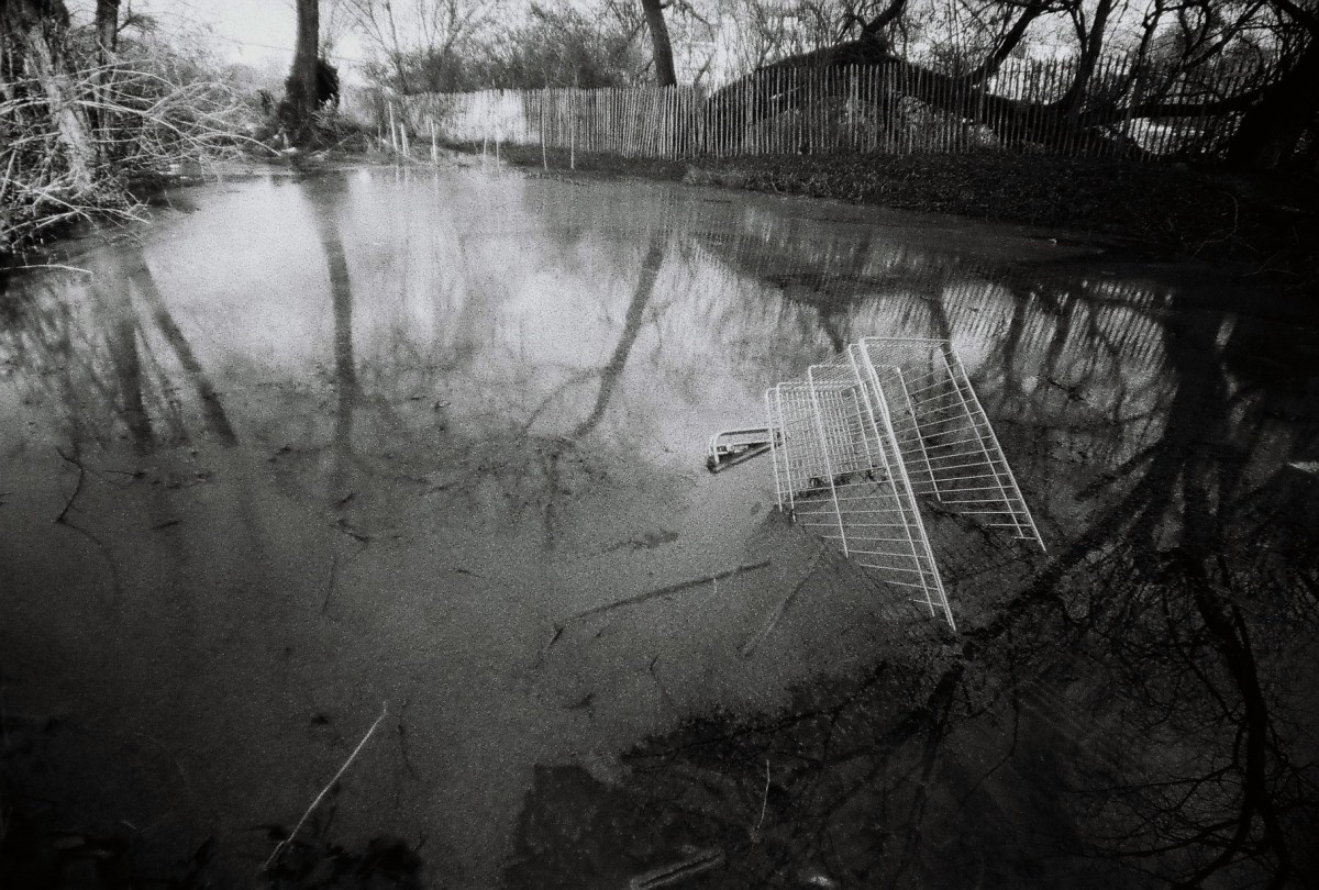 Tous prolétaires ! Vers la prolétarisation du&nbsp;vivant.