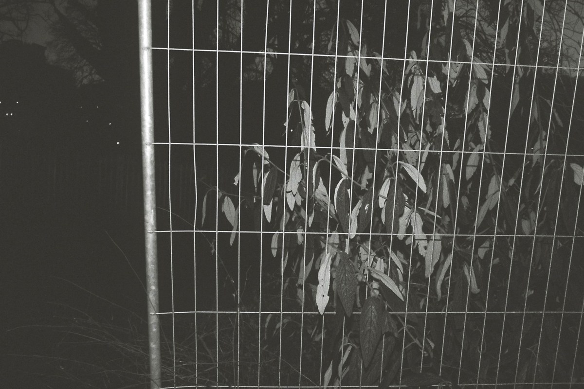 La nature-parmi-nous