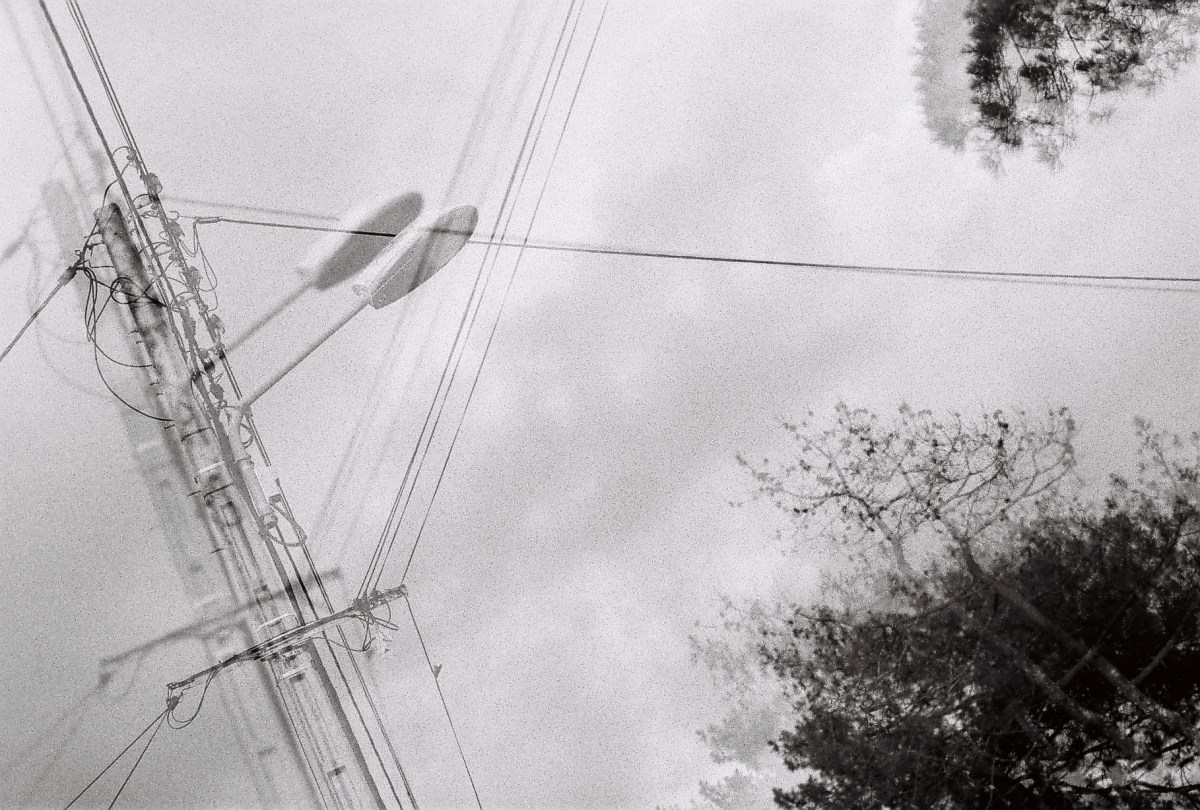 Nouvelles figures du&nbsp;changement