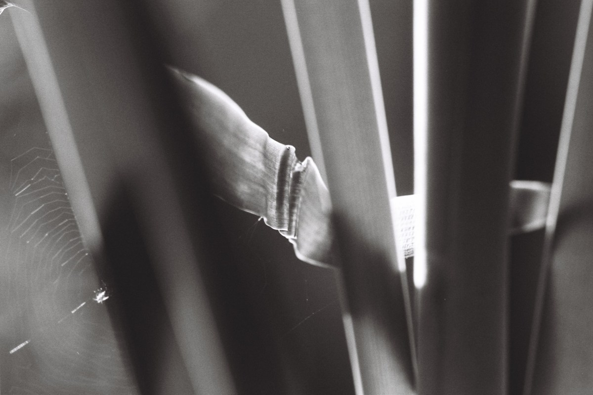 Pour une éco-sémiotique des mondes&nbsp;vivants