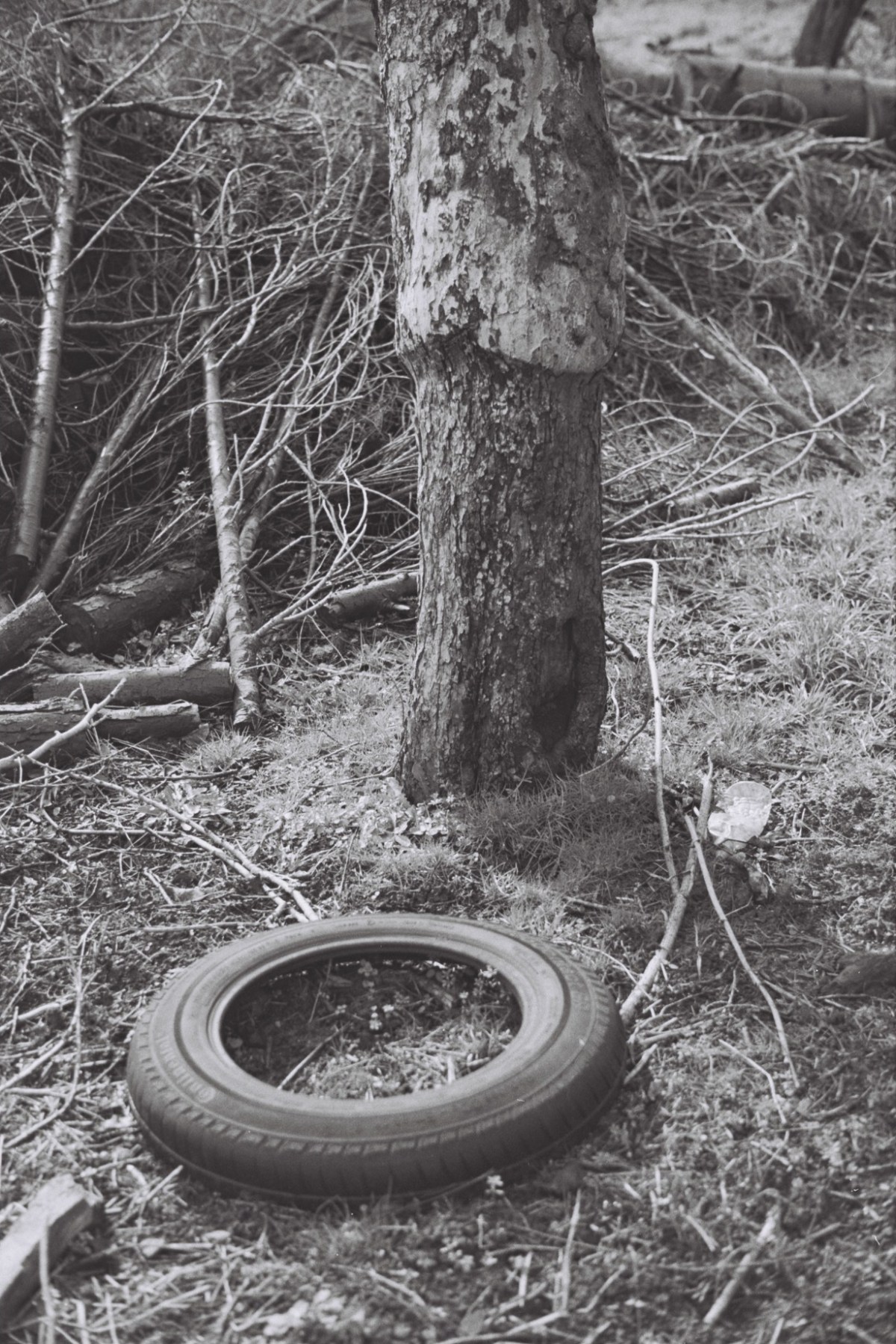 Le pouvoir des&nbsp;idées